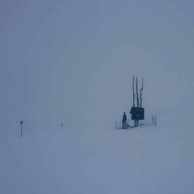 Sign on tree in snowly cloudy conditions.