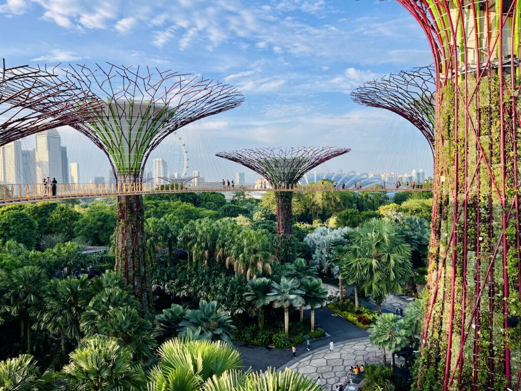 Supertrees towering over real trees.