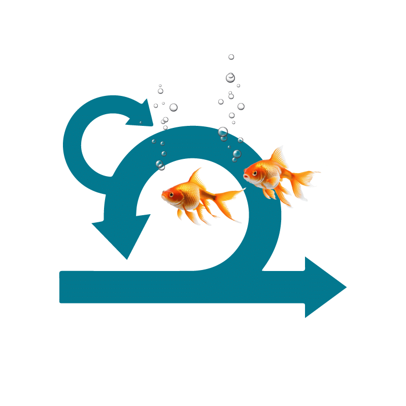 Two goldfish swim through a Scrum icon.
